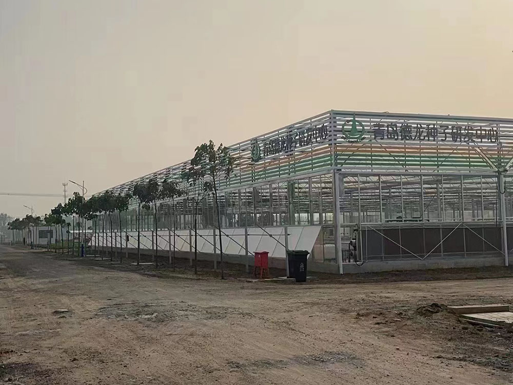 青岛德龙种业高效节能暖风机安装现场