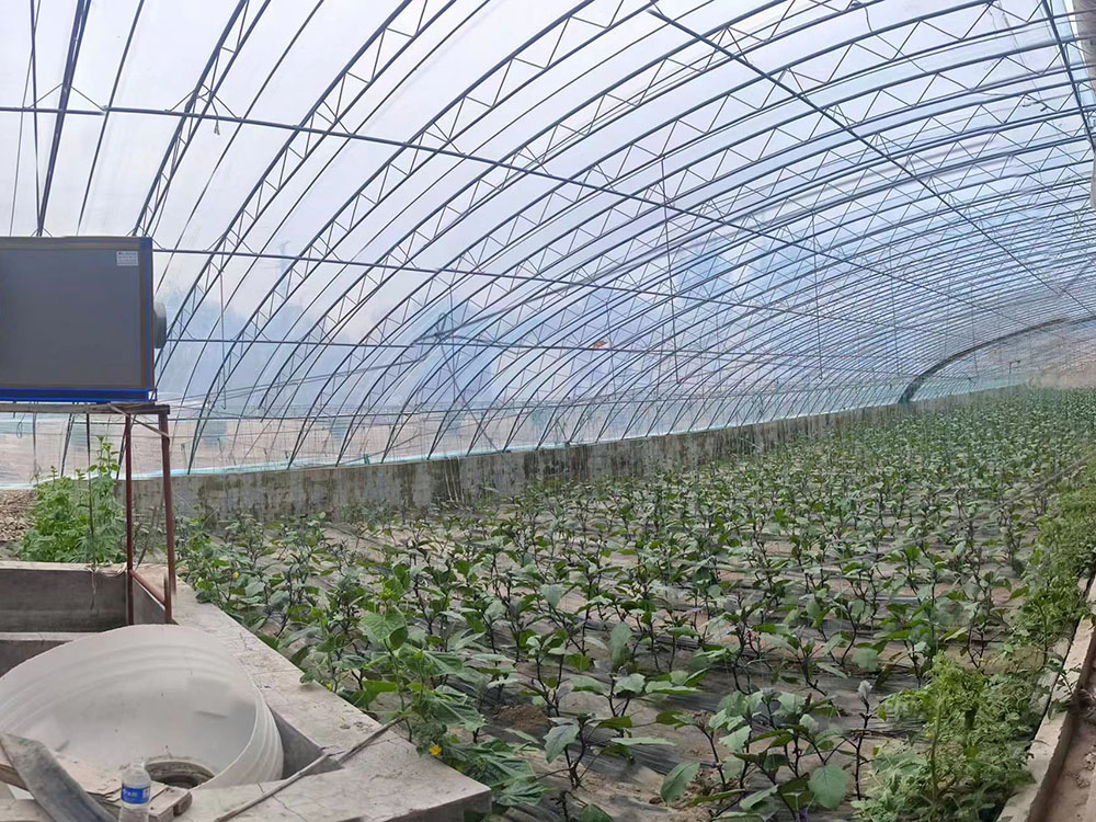 寿光蔬菜种植大棚安装图片