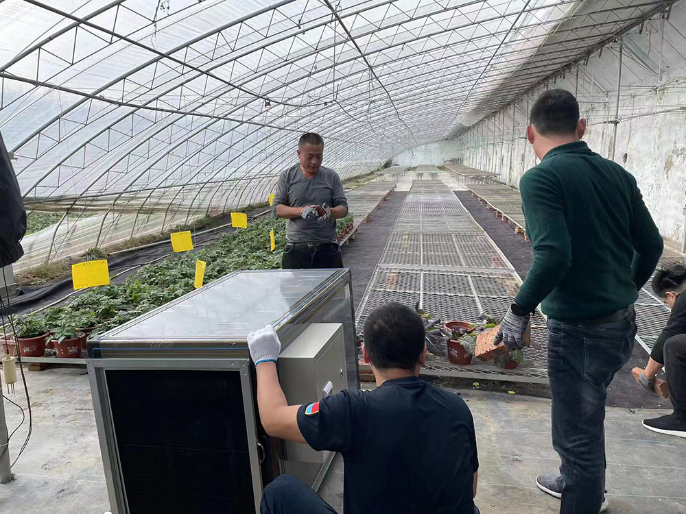 河北省秦皇岛市种植大棚安装调试