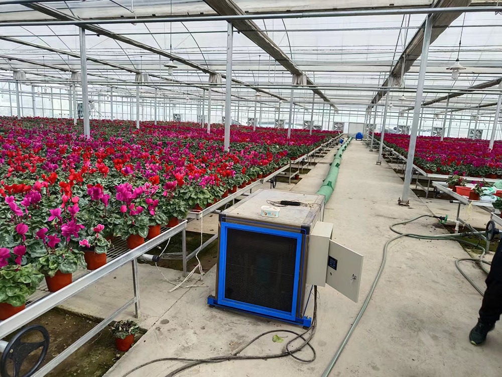 内蒙古赤峰种植花棚安装图片