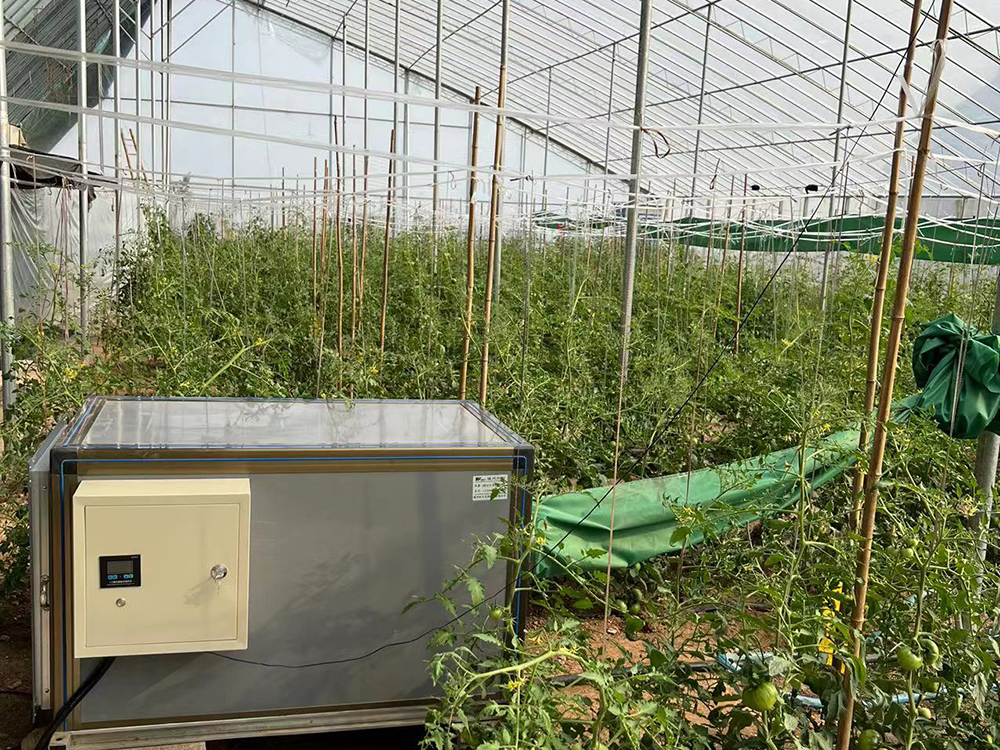 潍坊市临朐县番茄大棚暖风机安装图片